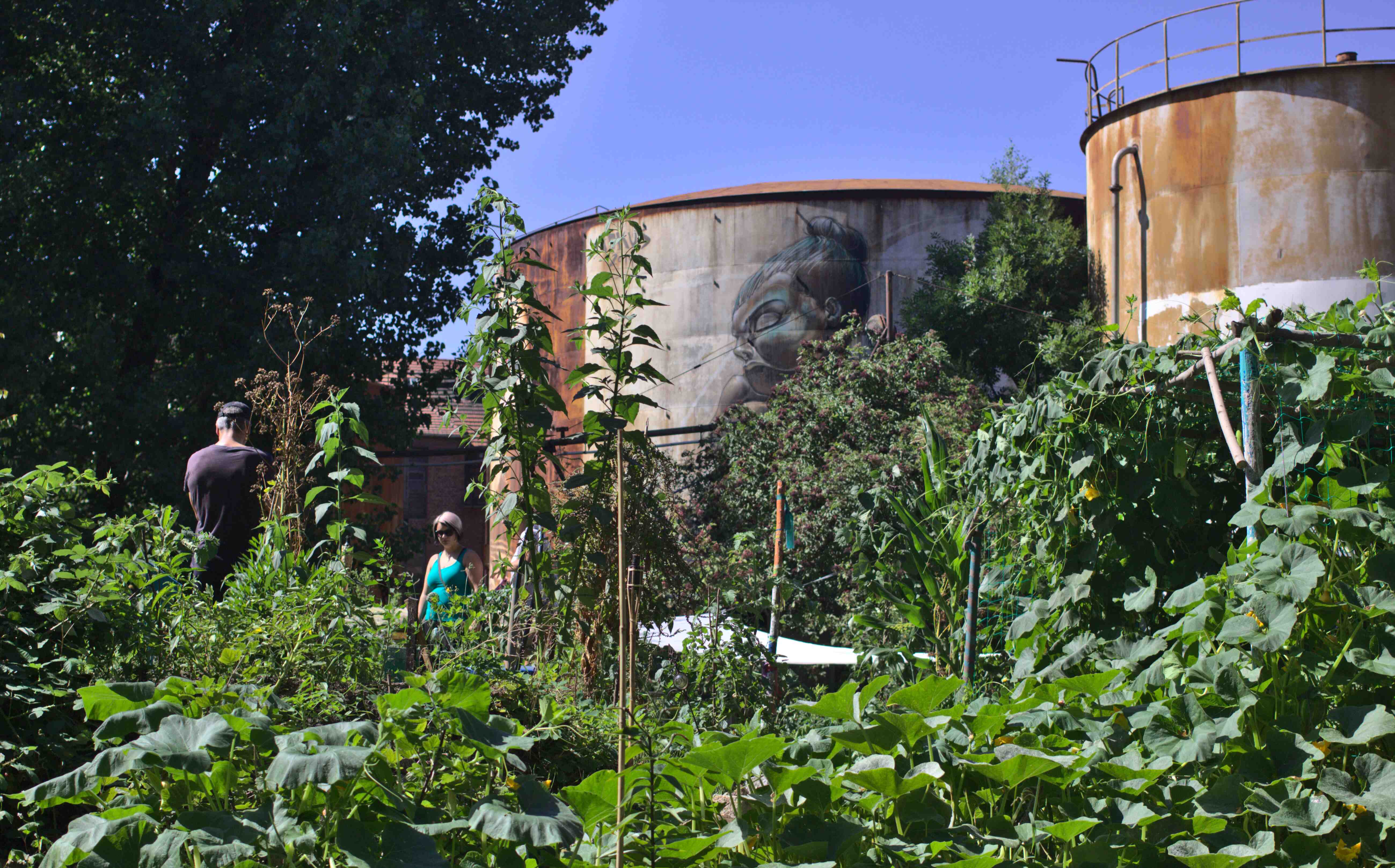 urban-gardening-area-rabryka